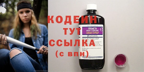 мдпв Осинники