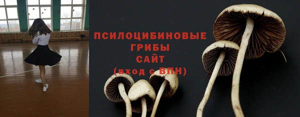 мдпв Осинники
