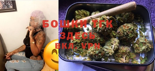 мдпв Осинники