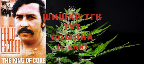 амфетамин Осташков