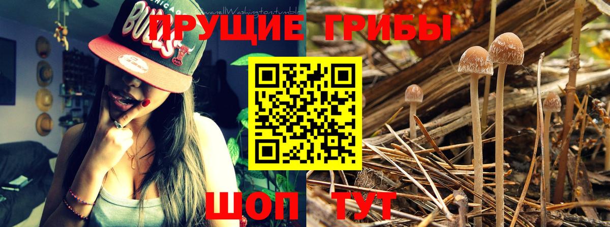 Галлюциногенные грибы мицелий Краснотурьинск