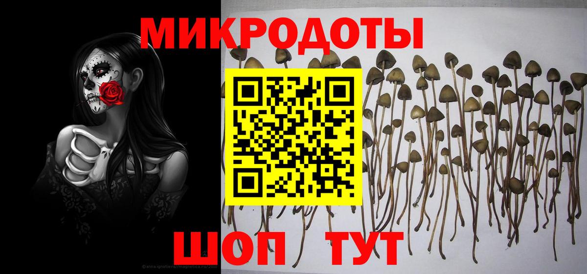 Галлюциногенные грибы GOLDEN TEACHER  Краснотурьинск 